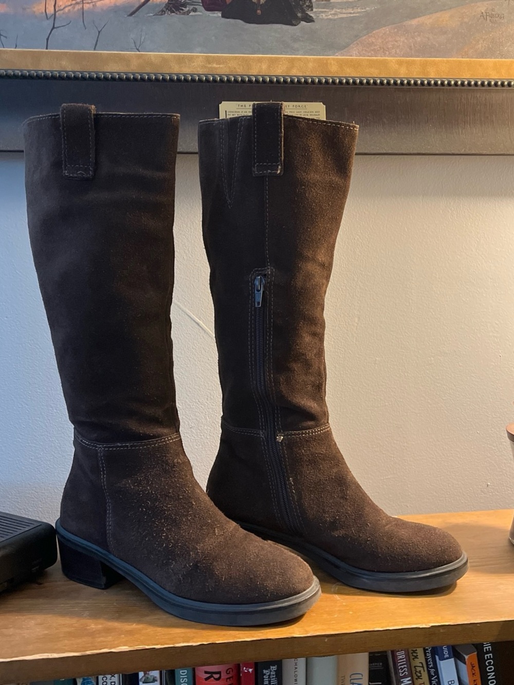 Y2K Angelo Knee-High Brown Suede Women's Boots